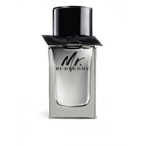 MR Burberry edt 100 vaporizador 1